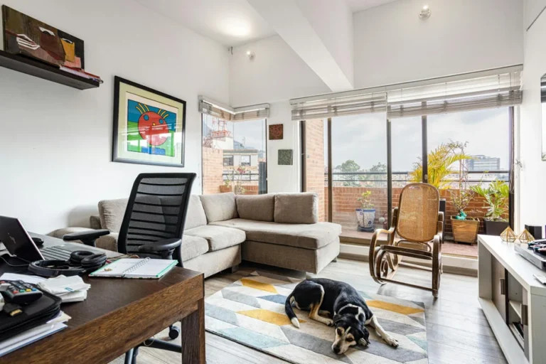 Best Pet-Friendly Materials for Living Room Furnishings